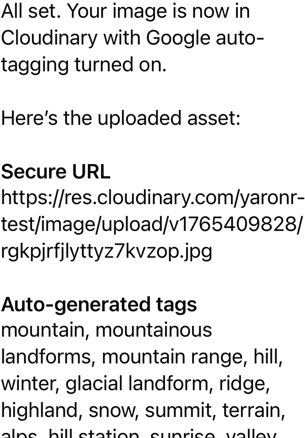 @Cloudinary upload this image and enable auto-tagging