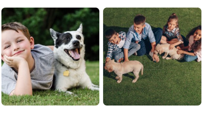 DepositPhotos screenshot 2